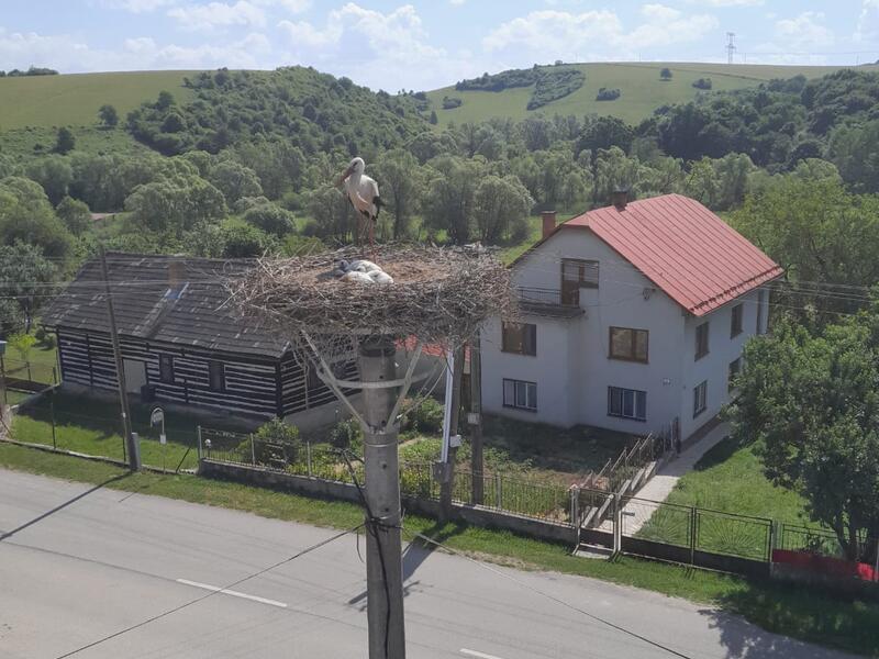 Pohľad na realizáciu zo strechy